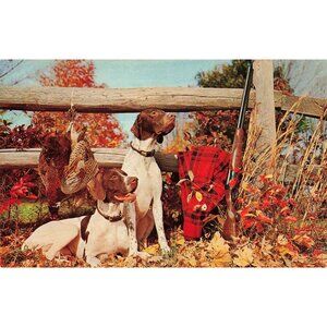 Postcard A Successful Shoot - Pheasant Hunting Vintage Chrome Unposted 1939-1970